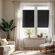 Black Window Pleated Blind