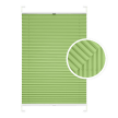 Pistachio Window Pleated Blind