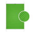 Green Window Pleated Blind