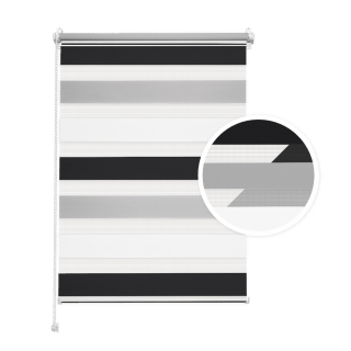 Black-White-Light Gray Day and Night Blind