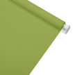 Spring Green No. 2 Standard Roller Blind