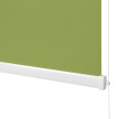 Spring Green No. 2 Standard Roller Blind