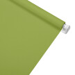 Spring Green No. 1 Standard Roller Blind