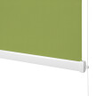Spring Green No. 1 Standard Roller Blind
