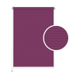 Purple Standard Roller Blind
